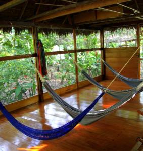 馬爾多納多港的住宿－Ecolucerna Lodge Tambopata，客房内的2张吊床,铺有木地板