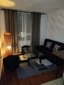 - un salon avec un canapé et une table en verre dans l'établissement santiago centro, à Santiago