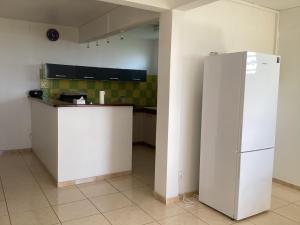 Kuchyň nebo kuchyňský kout v ubytování Appartement Montgeralde Fort-de-France