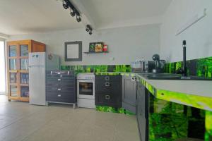 uma cozinha com paredes verdes e um frigorífico branco em Villa bord de mer au Moule em Le Moule
