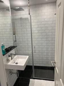 een badkamer met een wastafel en een douche bij Köln City Stillvolle Apartment in Keulen
