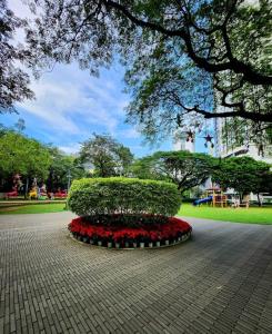 a park with a bush and flowers in a park at Modern Hotel-type Studio near Greenbelt Netflix 100mbps in Manila