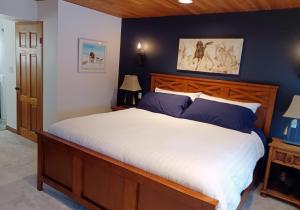 una camera da letto con un grande letto con pareti blu di Hannie's Gasthuis a Blind Bay