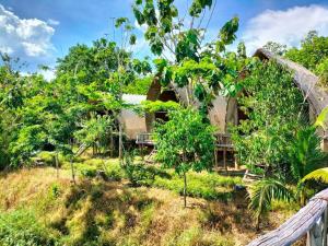a house in the middle of a field with trees at FOREST BREATH ECO-LODGE in Tân Phú