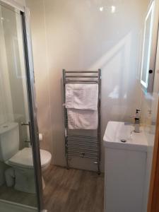 a bathroom with a toilet and a sink and a towel rack at Beech House in Fort William +26 photos