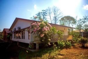 ein Haus mit einem Busch mit rosa Blumen drauf in der Unterkunft Langkawi Rouhi Retreats By VP in Kuah