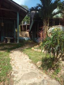 a house with a palm tree in front of it at Chor Chaba in Ko Kood