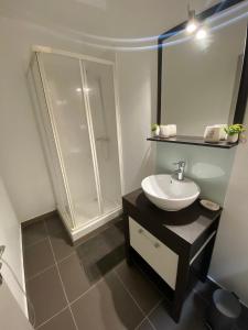 a white bathroom with a sink and a shower at Le patio St Étienne - Cité Épiscopale - Parking inclus in Albi