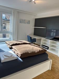 a bedroom with a bed and a desk and a tv at Guesthouse Elisa 6 in Zürich