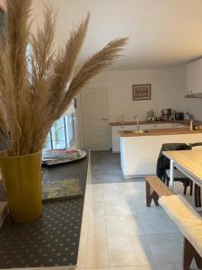 Η κουζίνα ή μικρή κουζίνα στο St Jean de Monts Maison neuve 15 pers 6ch