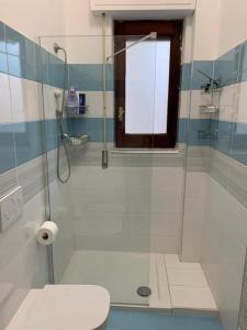 uma casa de banho com uma cabina de duche em vidro e um WC. em PRAIOLA BEACH HOUSE em Pozzillo