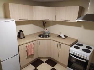 Gallery image of Draugystės apartmentai in Kaunas