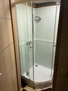 a shower with a glass door in a bathroom at Draugystės apartmentai in Kaunas