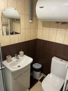y baño con aseo, lavabo y espejo. en Draugystės apartmentai en Kaunas