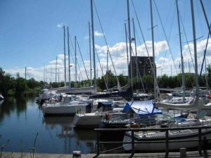 Un montón de barcos atracados en un puerto en Ferienwohnungen Am Yachthafen, en Greifswald