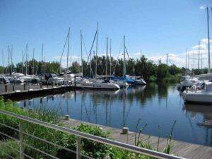 a marina with boats docked in the water at Ferienwohnungen Am Yachthafen in Greifswald