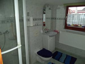 uma casa de banho com um chuveiro, um WC e um lavatório. em Ferienwohnungen Familie Daehn em Wieck