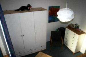 Strandvilla _ Lubmin في لوبمين: وجود قطه جالسه فوق دولاب في غرفه