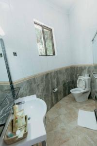 a bathroom with a sink and a toilet at Panama Garden Resort in Moshi