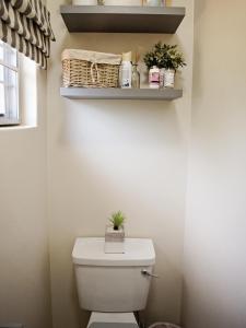 a bathroom with a toilet with a plant on top of it at Galago Way in St Lucia