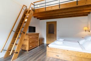 ein Schlafzimmer mit einem Etagenbett und einer Leiter in der Unterkunft Pension Slunečnice & Restaurace Farma in Špindlerův Mlýn