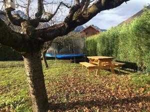 a picnic table and a tree in a field at L'Augustine - Spa privé & Vue Montagne in Saint Avre la Chambre