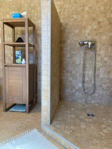 ein Bad mit einer Dusche und einer Glastür in der Unterkunft Le Pied de Ville Pouzenc in Embrun