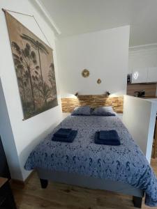 a bedroom with a bed and a painting on the wall at L'Escale Studio Arras avec parking privé in Arras