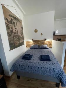 a bedroom with a bed and a painting on the wall at L'Escale Studio Arras avec parking privé in Arras