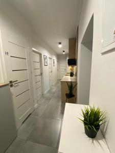 Kuchyňa alebo kuchynka v ubytovaní Matejki rooms + 2 fotografie
