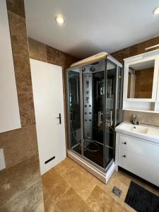 een badkamer met een douche en een wastafel bij WM ENNSTAL in Schladming