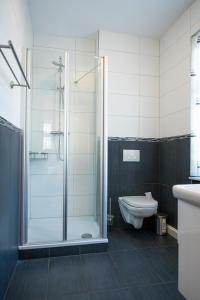 uma casa de banho com um chuveiro, um WC e um lavatório. em Zur Krone Leimen em Leimen