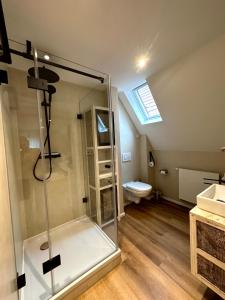 a bathroom with a glass shower and a toilet at Stadtvilla Apartments Ferienwohnungen Weinsberg in Weinsberg +146 photos