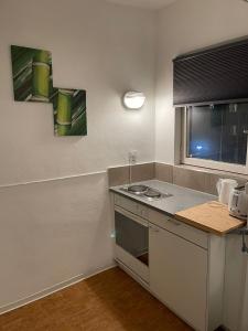 巴塞爾的住宿－City Centre Studio，一个带柜台和窗户的小厨房