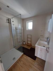 a bathroom with a shower and a sink at Appartement Lengdorfer in Untertauern