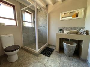 a bathroom with a shower and a toilet and a sink at Oryx Wilderness Game Lodge and Tented Camp 