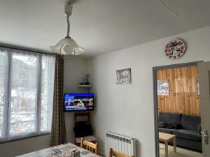 - un salon avec une télévision et un canapé dans l'établissement IDEAL MONTAGNE, à Le Mont-Dore