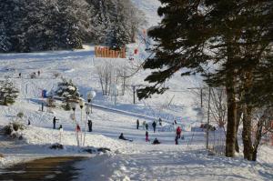 a group of people skiing down a snow covered slope at VILLARD DE LANS in Villard-de-Lans
