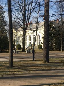 Vonkajšia záhrada v ubytovaní Apartament Cieplice Jadwigi 10