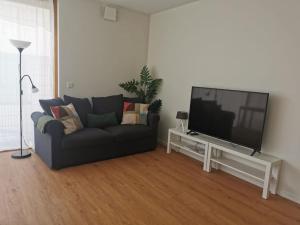 uma sala de estar com um sofá e uma televisão de ecrã plano em Luxembourg Business Flat. Terrace & Free Parking em Luxemburgo