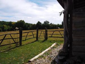 een hek in een veld met koeien in de verte bij Privéparadijs,Houtvuur,Ongerepte natuur, Ardennen. in Éteignières