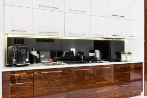 Kuchyňa alebo kuchynka v ubytovaní Apartamenty Granitica Zakopane