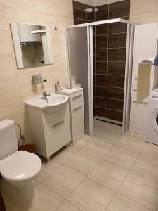 ein Bad mit einem WC, einem Waschbecken und einer Dusche in der Unterkunft Šluknov / the northernmost city of the czechia in Šluknov