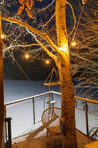 une balançoire suspendue à un arbre dans la neige dans l'établissement Cabane perchée La Résilience sur le plateau du Vercors, à Autrans