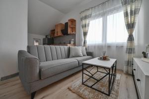 Posezení v ubytování Apartman UMA