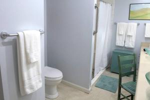 a bathroom with a toilet and a shower with towels at 2 Bedroom Apartment overlooks WCU and Cullowhee NC - Smoke and Pet free in Sylva