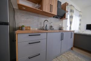 Kuchyň nebo kuchyňský kout v ubytování Apartman UMA + 19 fotografií