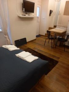 Televízia a/alebo spoločenská miestnosť v ubytovaní Liszt Ferenc square Studio apartment