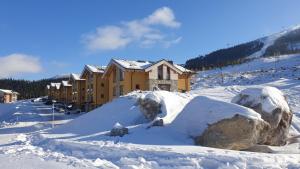 a house in the snow with snow covered rocks at Apartmán Jelení Grúň Jasná in Belá