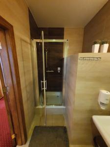 baño con ducha y puerta de cristal en Hotel Polak, en Zamość